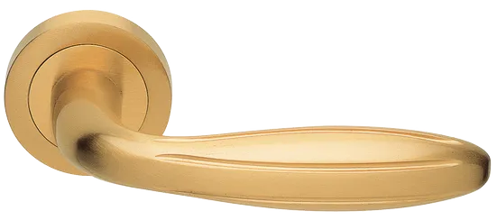 BUD R2 OSA, ручка дверная, цвет - матовое золото фото купить Санкт-Петербург