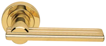 ORCHIDEA R2 OTL, ручка дверная, цвет - золото