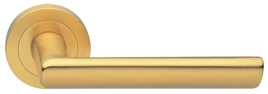 STELLA R2 OSA, ручка дверная, цвет - матовое золото фото купить Санкт-Петербург