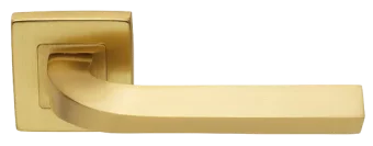 TENDER S3 OSA, ручка дверная, цвет -  матовое золото